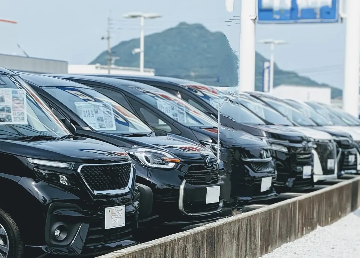 展示場に並ぶ中古車